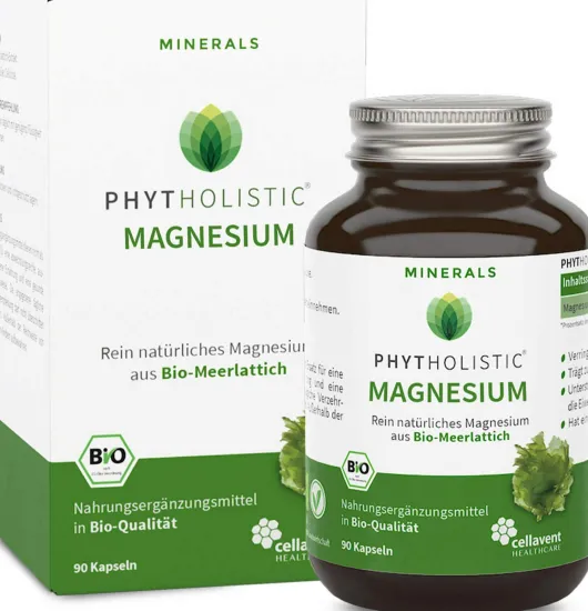 Phytholistic Magnesium Bio Kapseln 90 Stück