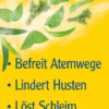 Pinimenthol Erkältungssalbe 20 g