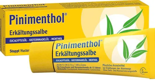 Pinimenthol Erkältungssalbe 20 g
