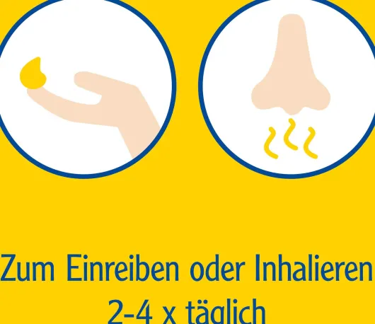 Pinimenthol Erkältungssalbe 20 g