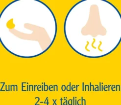 Pinimenthol Erkältungssalbe 100g