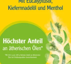 Pinimenthol Erkältungssalbe 100g