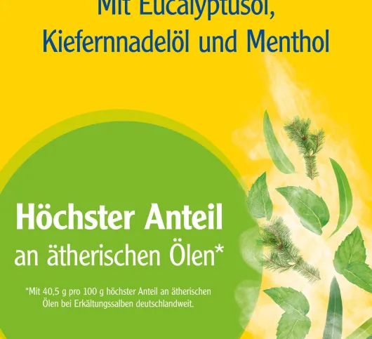 Pinimenthol Erkältungssalbe 100g