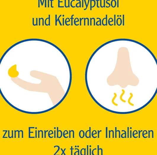 Pinimenthol mild Erkältungsbalsam 20 g