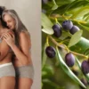 Plantana Olive Gesichtscreme 50 ml