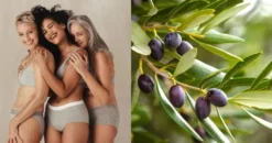 Plantana Olive Gesichtscreme 50 ml