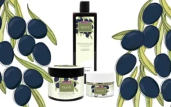 Plantana Olive Gesichtscreme 50 ml