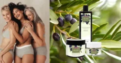 Plantana Olive Körpercreme 500 ml
