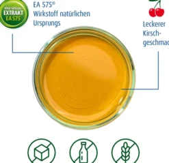 Prospan Hustensaft 100 ml Saft