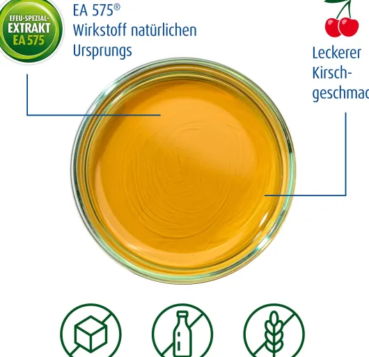Prospan Hustensaft 100 ml Saft