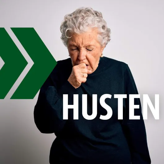 Prospan Hustentropfen 100 ml
