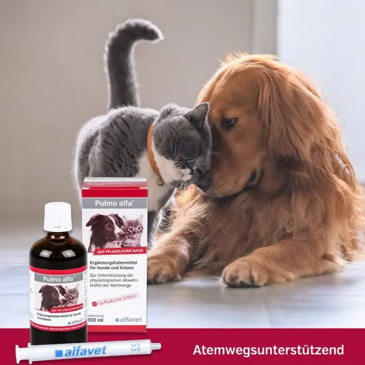 Pulmo Alfa Für Hunde und Katzen Ergänzungsfuttermittel 100 ml
