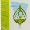 Pulmonest Tropfen 100 ml Tropfen