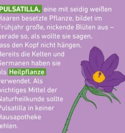 Pulsatilla C30 Globuli Pflüger Globulispender 10 g