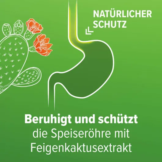 Refluthin Kautabletten Fruchtgeschmack 48 Stück