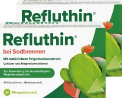 Refluthin Kautabletten Minzgeschmack 2 x 48 Stück
