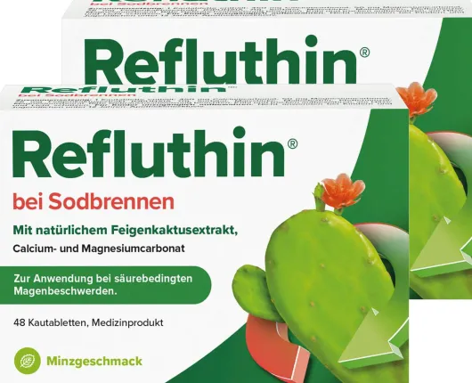 Refluthin Kautabletten Minzgeschmack 2 x 48 Stück