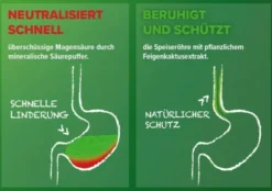 Refluthin Kautabletten Minzgeschmack 16 Stück