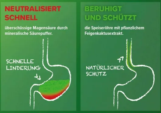 Refluthin Kautabletten Minzgeschmack 16 Stück