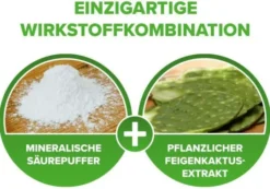 Refluthin Kautabletten Minzgeschmack 16 Stück