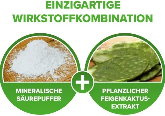 Refluthin Kautabletten Minzgeschmack 16 Stück