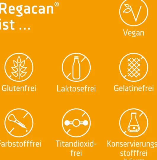 Regacan Syxyl 90 Tabletten