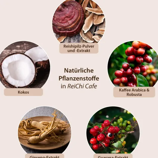 Reichi Cafe Reishi - Pilz Kaffee Kokos Vegan 180 G Pulver