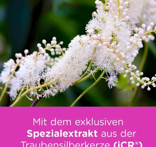 Remifemin Mono 30 Tabletten