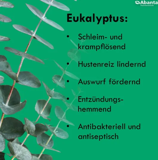 Remlofect Halspastillen
