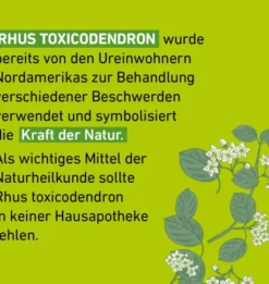 Rhus Toxicodendron D 12 Globuli Pflüger Globulispender 10 g