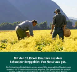 Ricola Box Alpen Salbei zuckerfrei 50 g