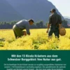 Ricola Ingwer Orangenminze - Schweizer Hustenbonbon 50 G