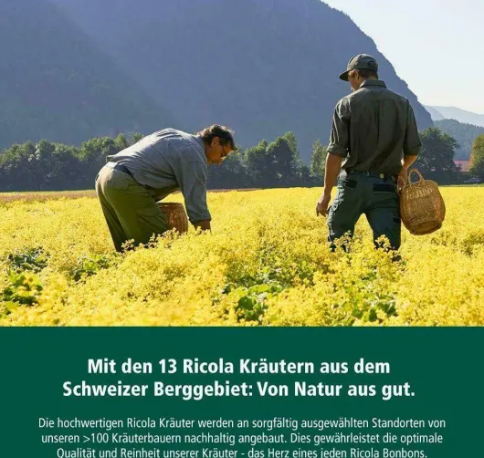 Ricola Ingwer Orangenminze - Schweizer Hustenbonbon 50 G