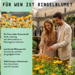 Ringelblume Extrakt Kräuter Tropfen alkoholfrei 100 ml