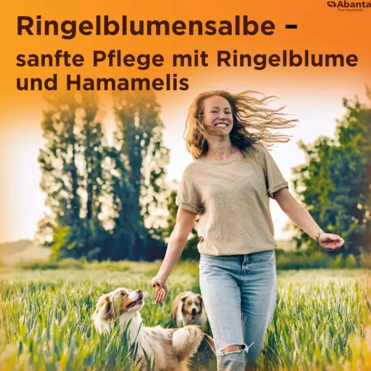 Ringelblumen Salbe 50 ml