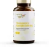 Rosenwurz Extrakt 500 mg 120 Kapseln