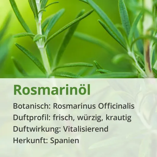 Rosmarin Öl Naturrein Ätherisch 10 ml