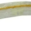 Rüsch Gold Ballonkatheter Ch 18 Tiemann 30-50 ml