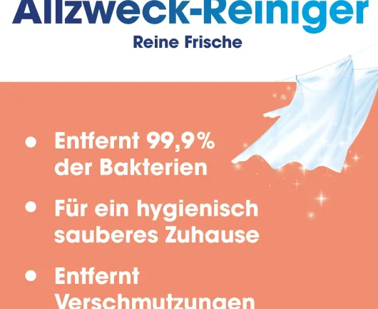 Sagrotan Allzweck Reiniger Reine Frische 1500 ml