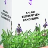 Salbei Triebspitzen Tee Handernte