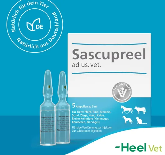 Sascupreel ad us.vet. 5 x 5 ml Ampullen