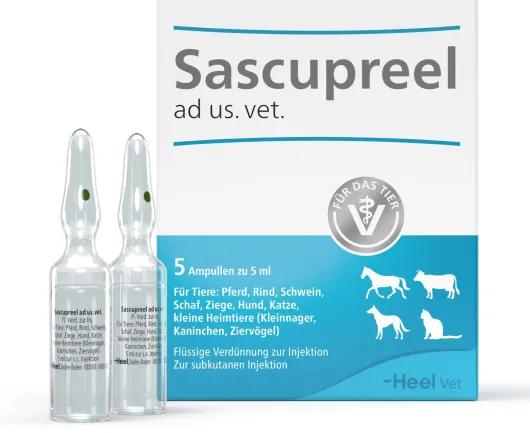 Sascupreel ad us.vet. 5 x 5 ml Ampullen