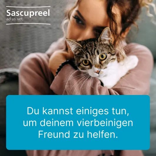 Sascupreel ad us.vet. 5 x 5 ml Ampullen