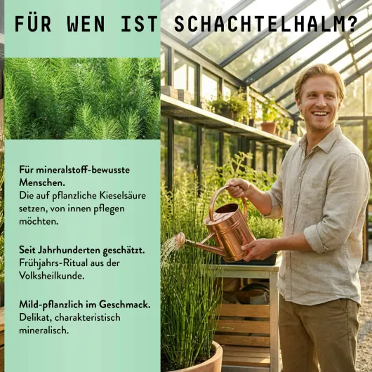 Schachtelhalm Extrakt Kräuter Tropfen alkoholfrei 100 ml