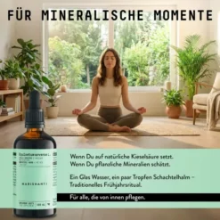 Schachtelhalm Extrakt Kräuter Tropfen alkoholfrei 100 ml