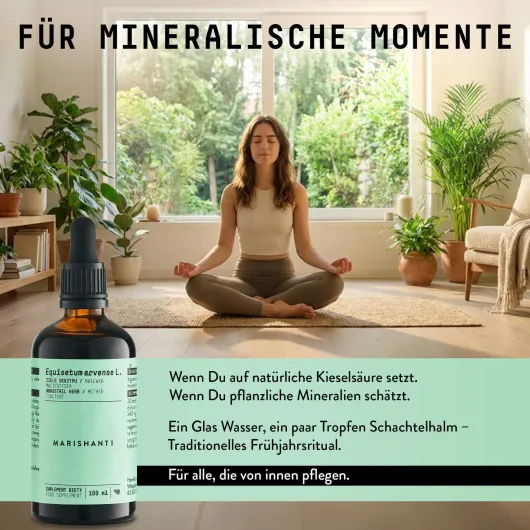 Schachtelhalm Extrakt Kräuter Tropfen alkoholfrei 100 ml