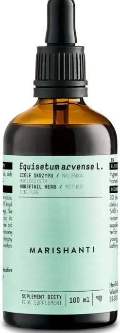 Schachtelhalm Extrakt Kräuter Tropfen alkoholfrei 100 ml