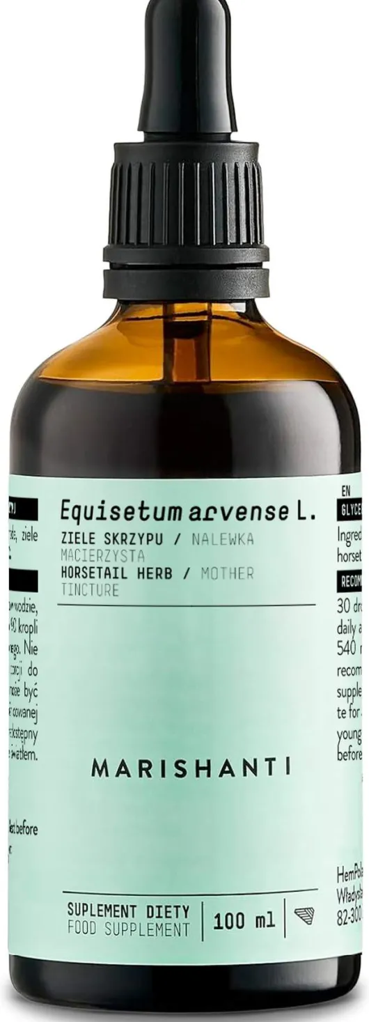 Schachtelhalm Extrakt Kräuter Tropfen alkoholfrei 100 ml