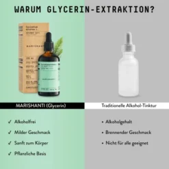 Schachtelhalm Extrakt Kräuter Tropfen alkoholfrei 100 ml