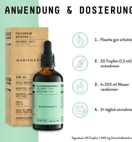 Schachtelhalm Extrakt Kräuter Tropfen alkoholfrei 100 ml